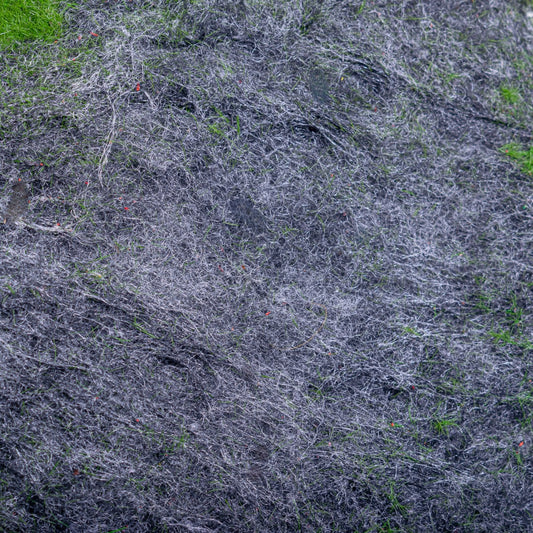 Set 4 muschi artificial de padure, Naimeed D6550, pentru decorare interioara sau exterioara, Verde, 25x2cm