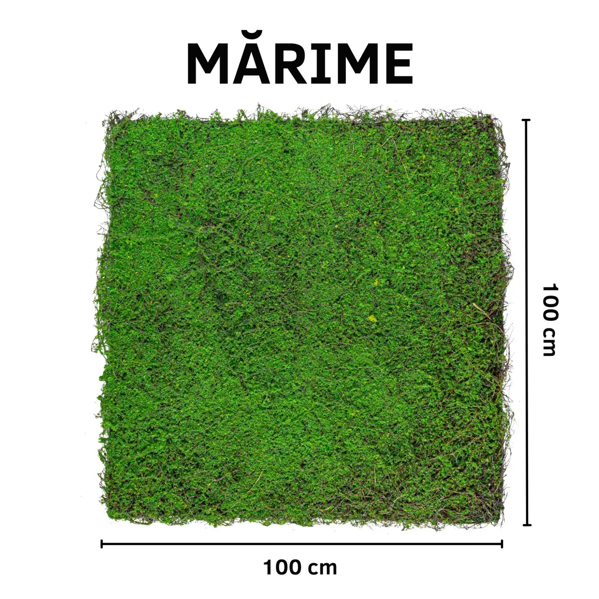 Covor muschi artificial de padure, Naimeed D6551, pentru decorare interioara sau exterioara, Verde, 1000x1000x30mm - 221.ro