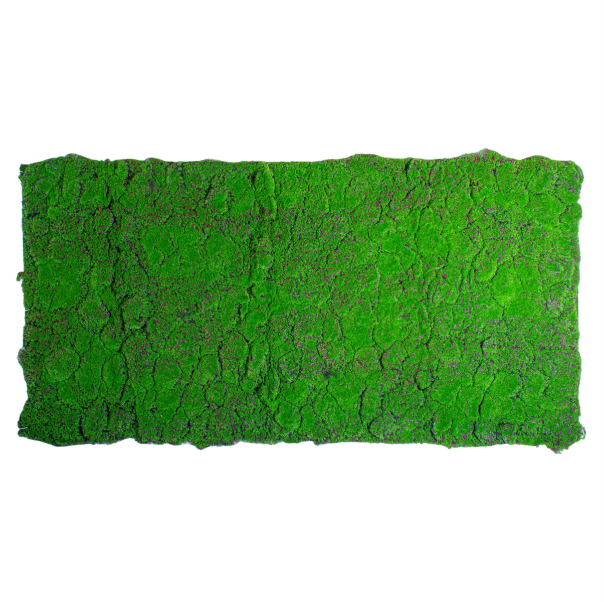 Covor muschi artificial de padure, Naimeed D6556, pentru decorare interioara sau exterioara, Verde, 1000x2000x30mm
