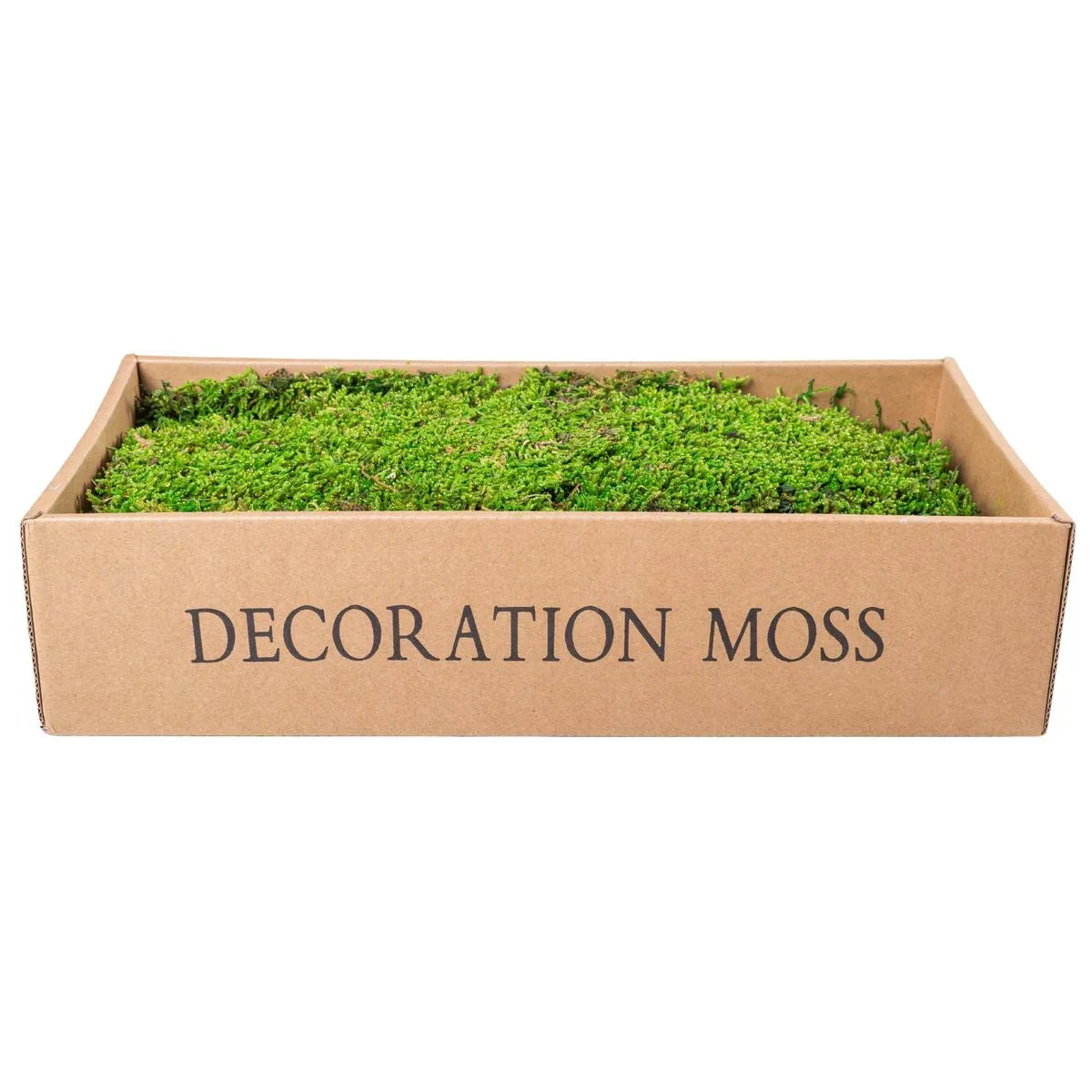 Muschi Premium naturali, stabilizati, Naimeed D6558, pentru decoratiuni hand made, biodegradabili - 221.ro