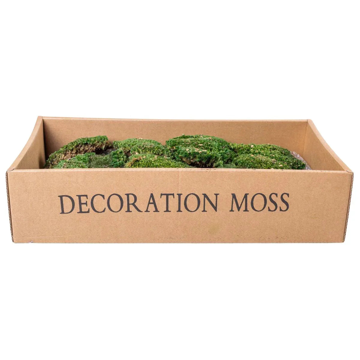 Muschi Premium naturali, stabilizati, Naimeed D6559, pentru decoratiuni hand made, biodegradabili - 221.ro