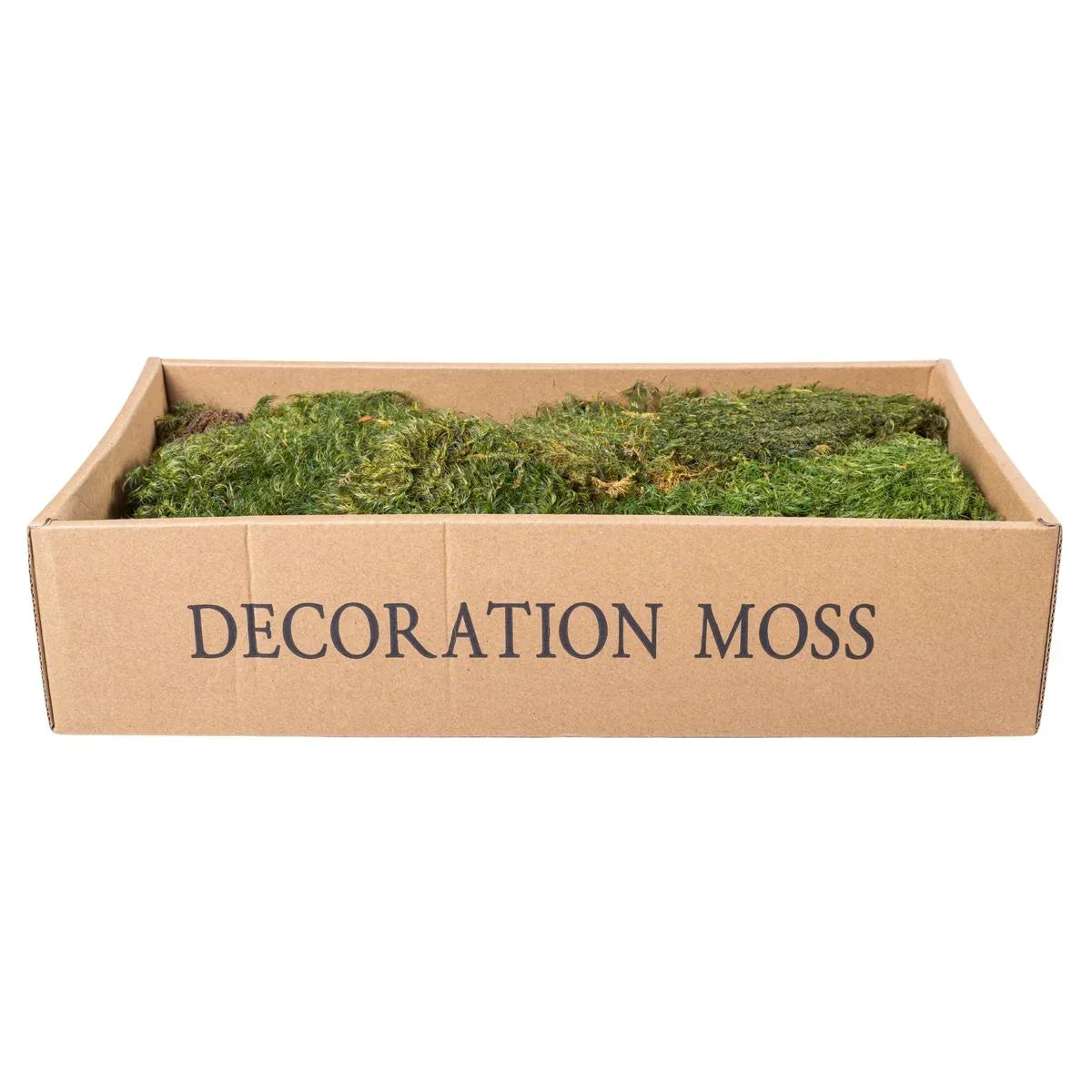 Muschi Premium naturali, stabilizati, Naimeed D6560, pentru decoratiuni hand made, biodegradabili - 221.ro