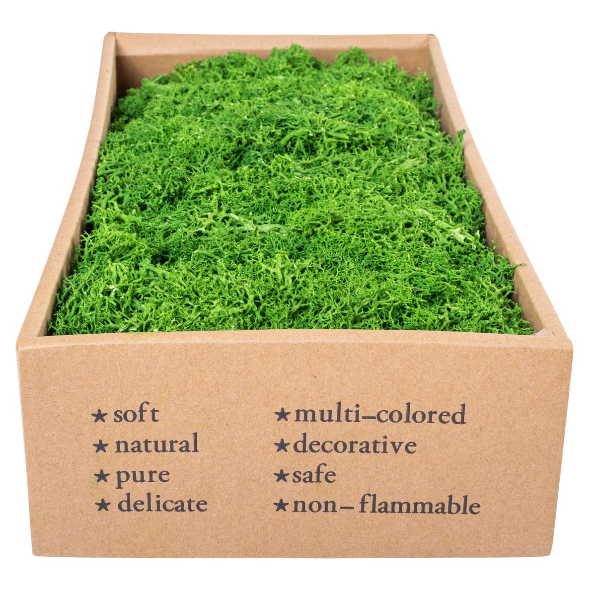 Licheni Premium naturali, stabilizati, Naimeed D6561, pentru decoratiuni hand made, biodegradabili, 500g