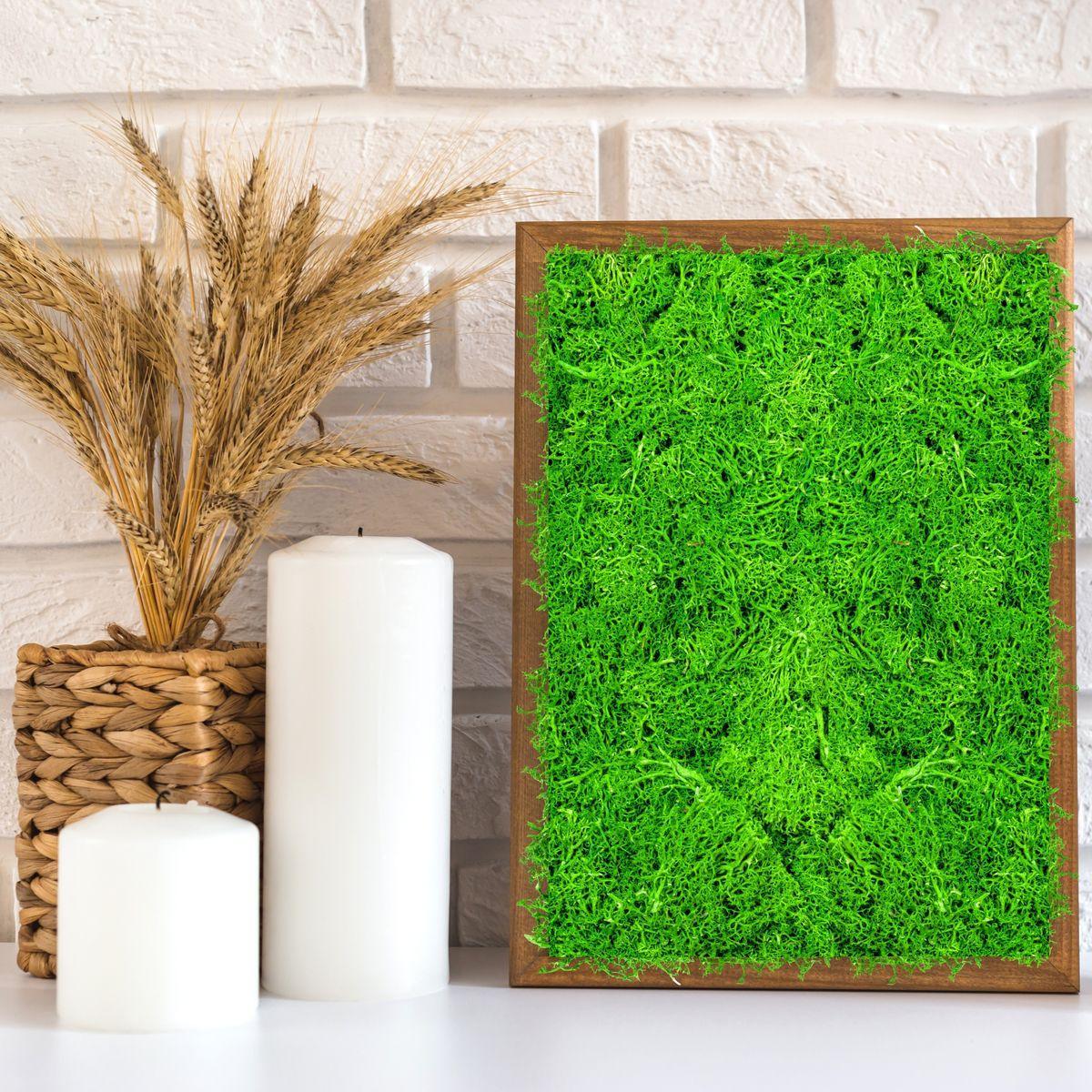 Licheni Premium naturali, stabilizati, Naimeed D6561, pentru decoratiuni hand made, biodegradabili, 500g - 221.ro