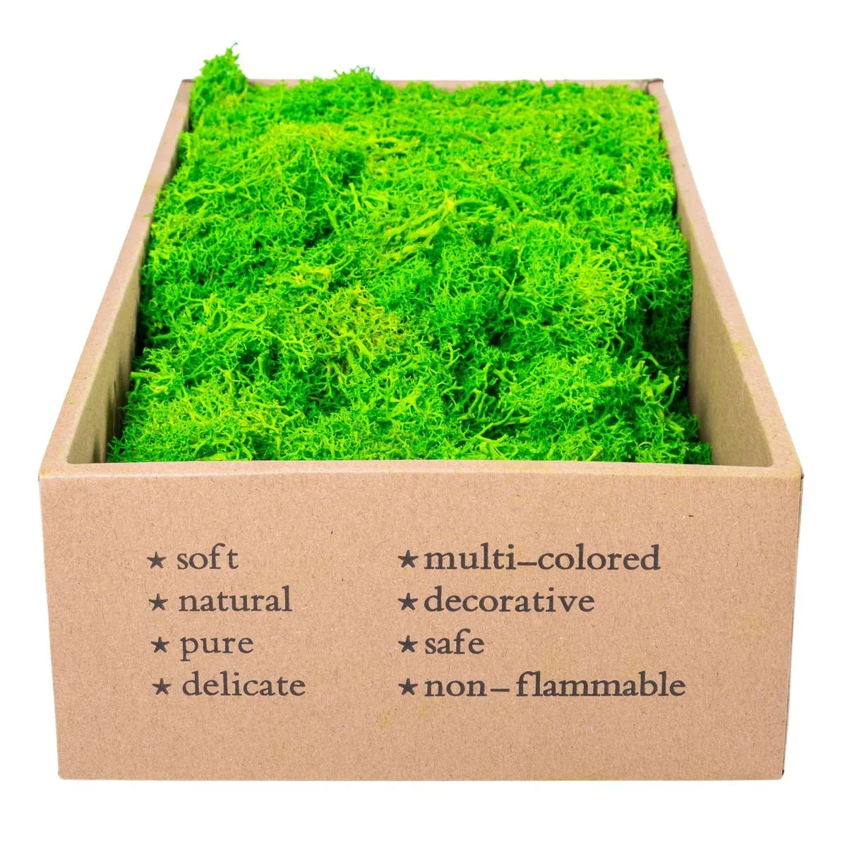 Licheni Premium naturali, stabilizati, Naimeed D6563, pentru decoratiuni hand made, biodegradabili, 500g - 221.ro