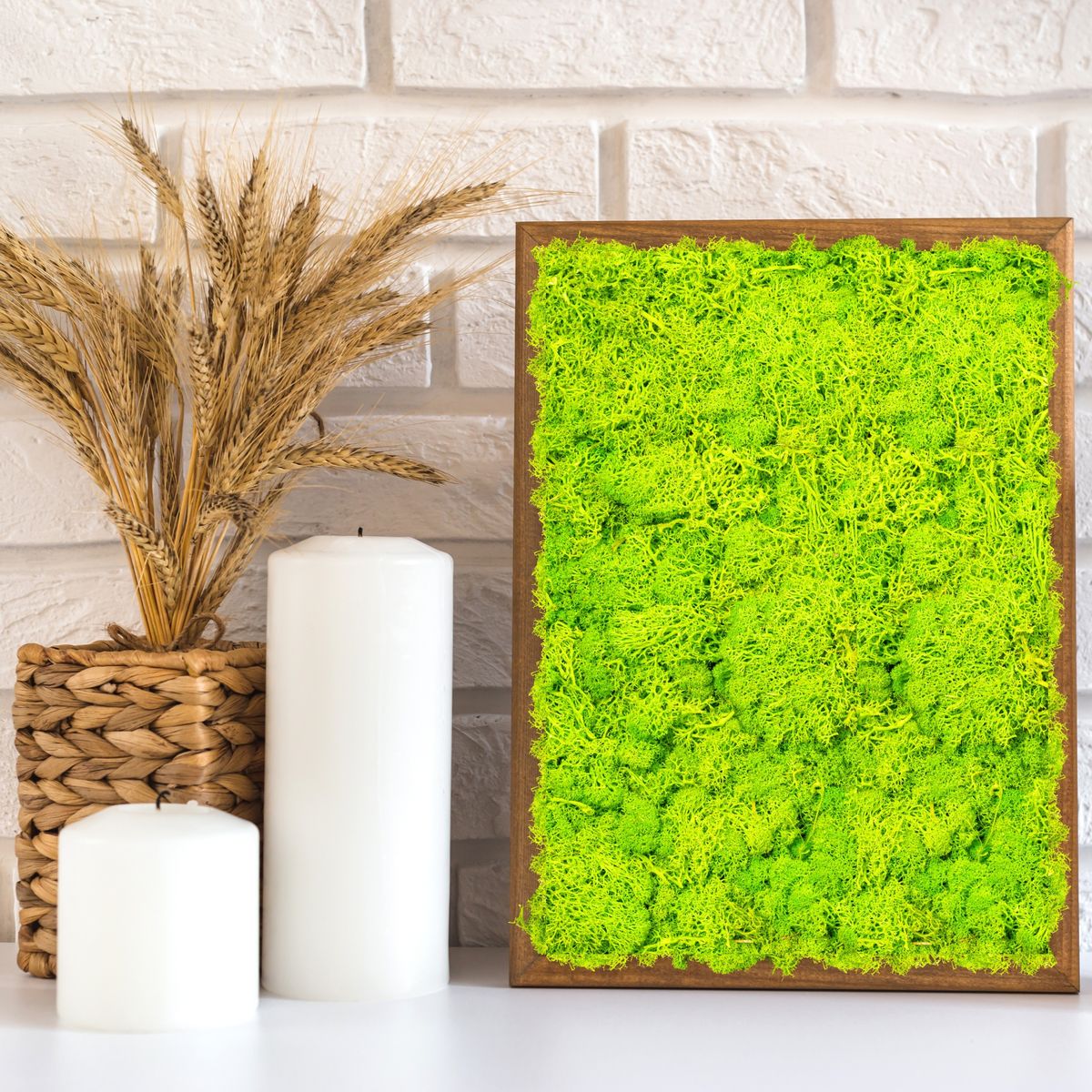 Licheni Premium naturali, stabilizati, Naimeed D6564, pentru decoratiuni hand made, biodegradabili, 500g