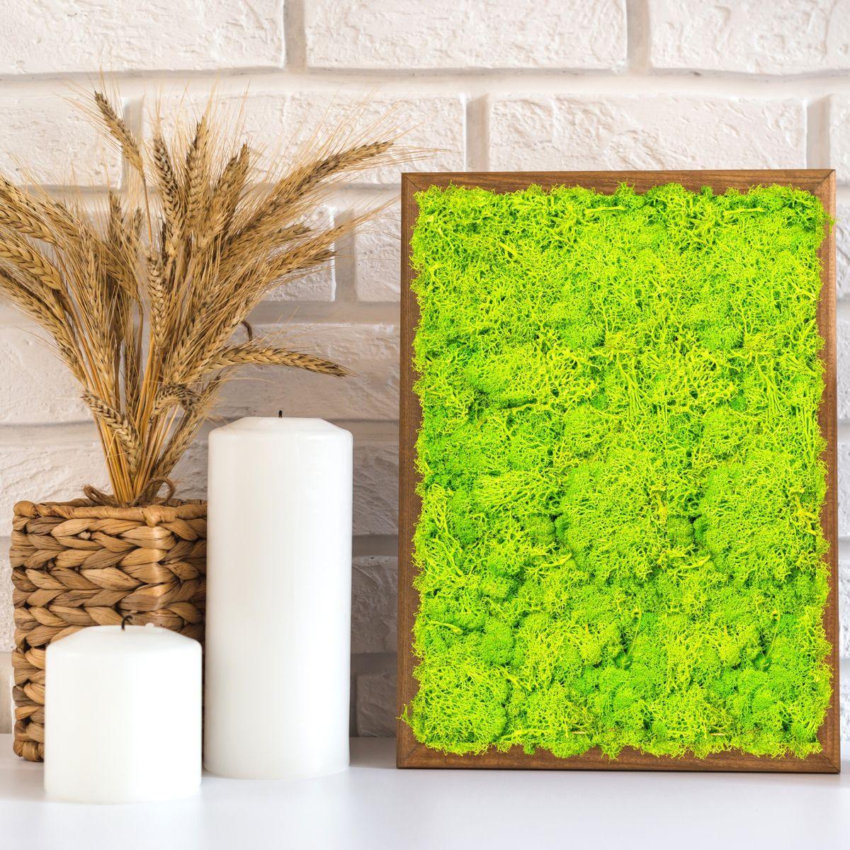 Licheni Premium naturali, stabilizati, Naimeed D6564, pentru decoratiuni hand made, biodegradabili, 500g - 221.ro