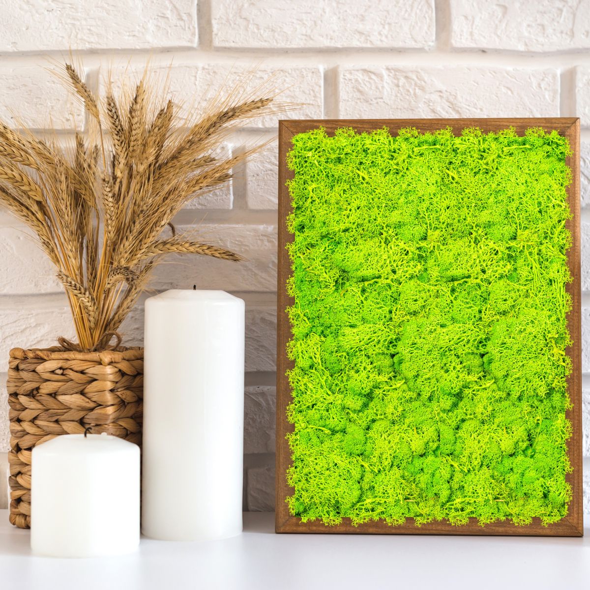 Licheni Premium naturali, stabilizati, Naimeed D6565, pentru decoratiuni hand made, biodegradabili, 500g