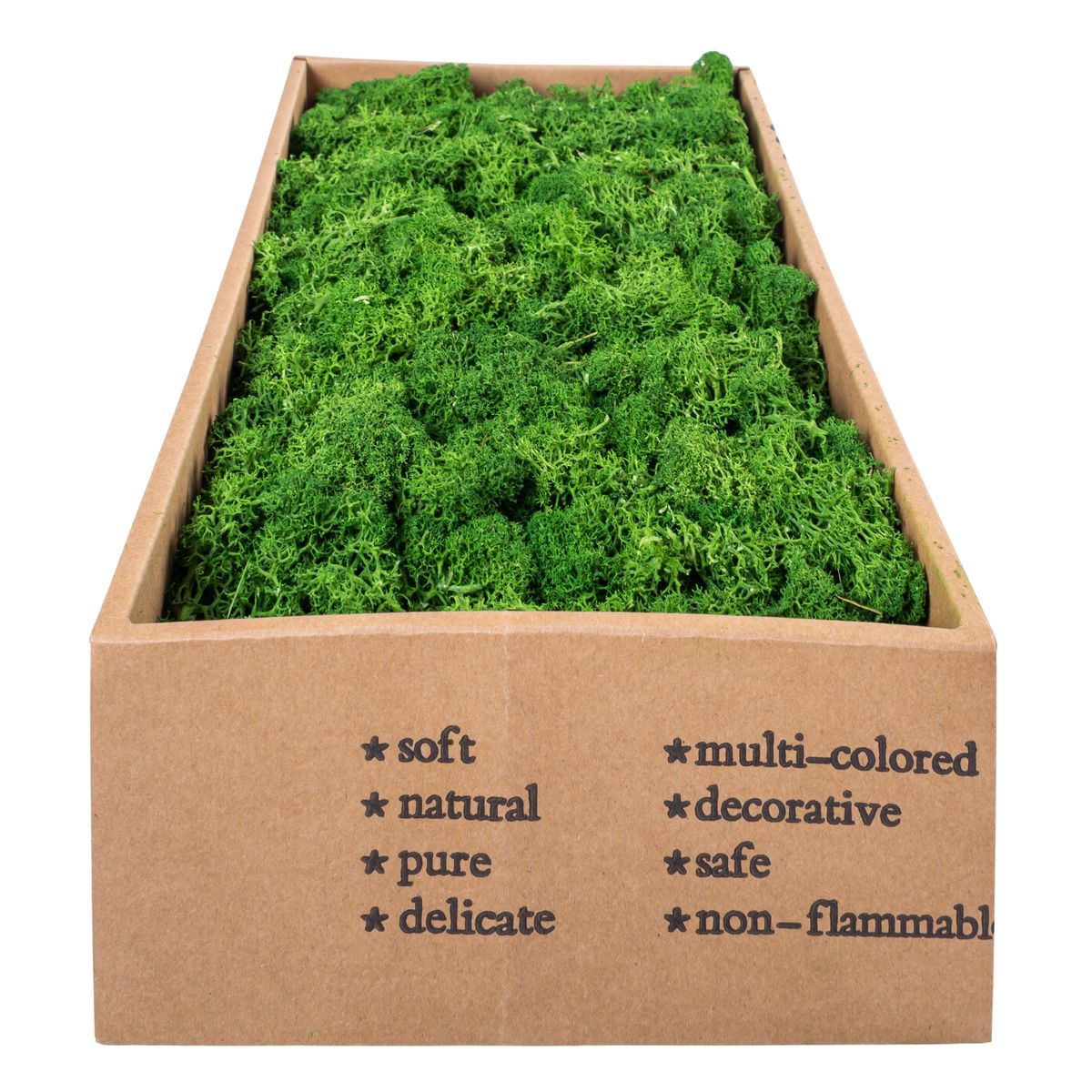 Licheni Premium naturali, stabilizati, Naimeed D6566, pentru decoratiuni hand made, biodegradabili, 500g