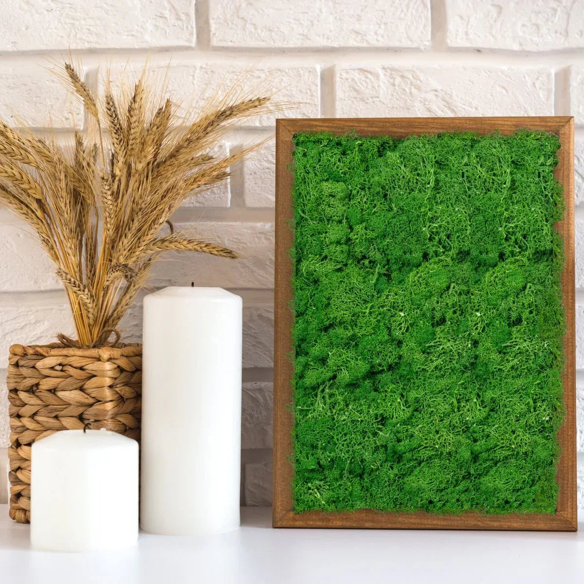 Licheni Premium naturali, stabilizati, Naimeed D6566, pentru decoratiuni hand made, biodegradabili, 500g - 221.ro