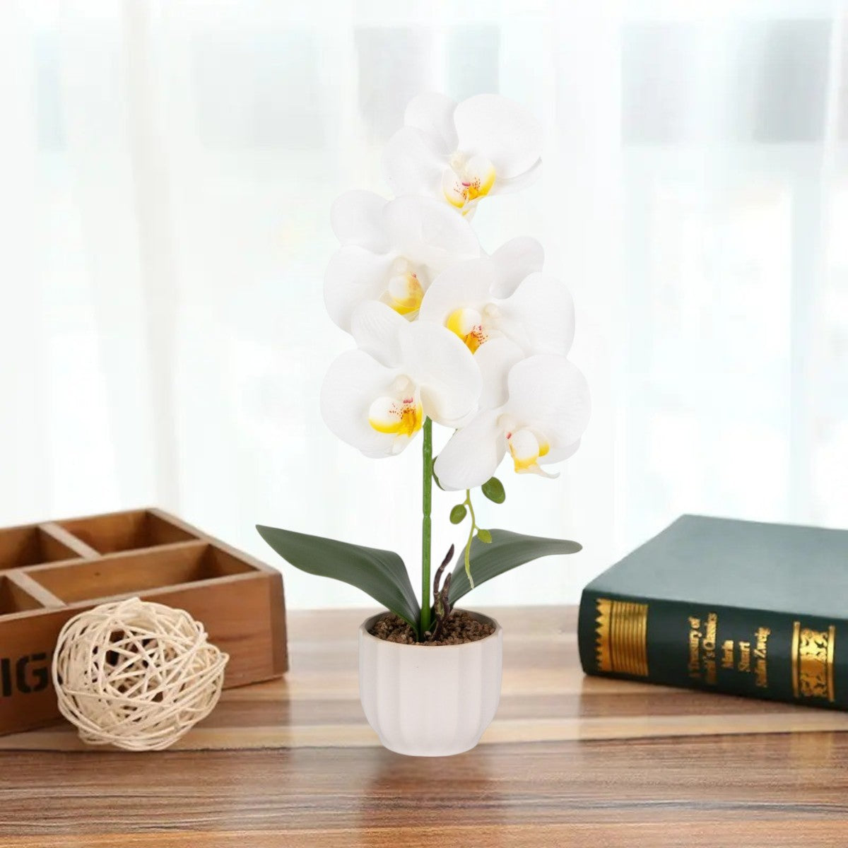 Orhidee cu aspect natural in ghiveci ceramic, 42 cm, Naimeed D6880, Alb