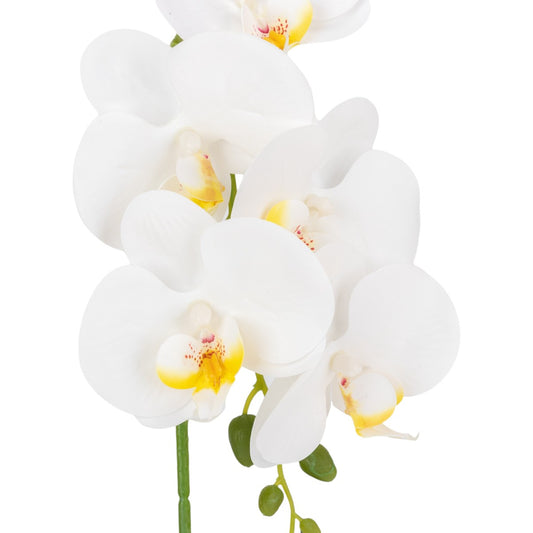 Orhidee cu aspect natural in ghiveci ceramic, 42 cm, Naimeed D6880, Alb