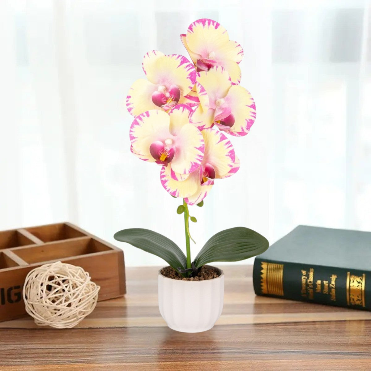 Orhidee cu aspect natural in ghiveci ceramic, 42 cm, Naimeed D6881, Galben pal
