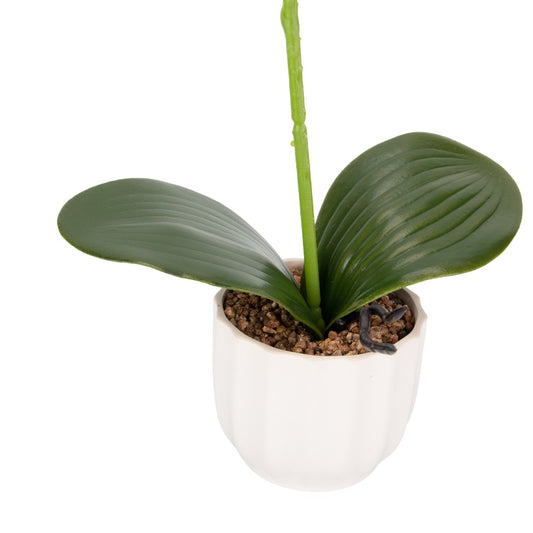 Orhidee cu aspect natural in ghiveci ceramic, 42 cm, Naimeed D6881, Galben pal