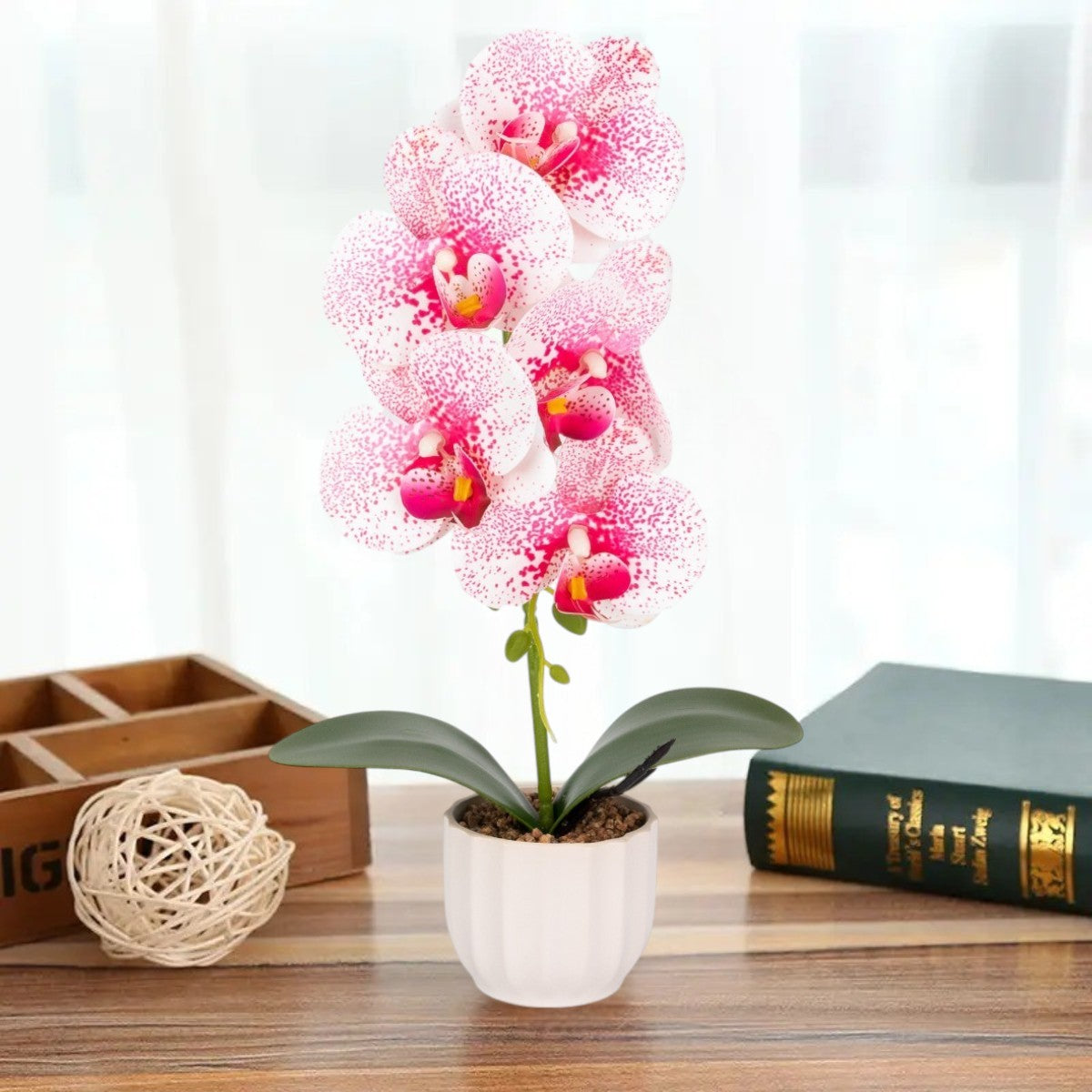 Orhidee cu aspect natural in ghiveci ceramic, 42 cm, Naimeed D6882, Alb-roz