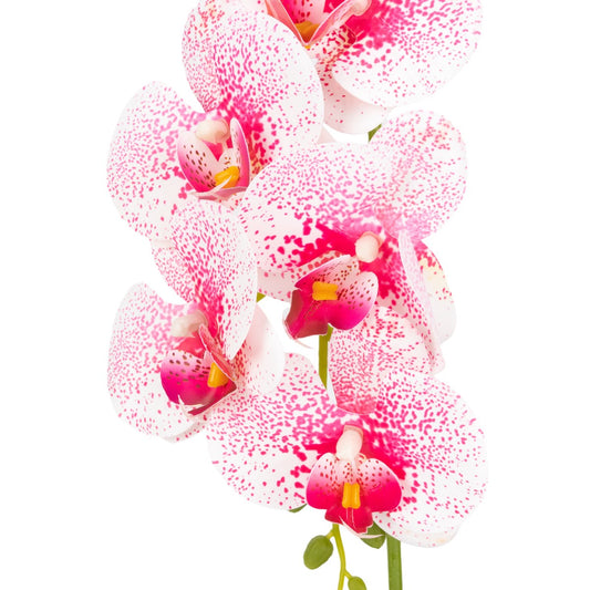 Orhidee cu aspect natural in ghiveci ceramic, 42 cm, Naimeed D6882, Alb-roz