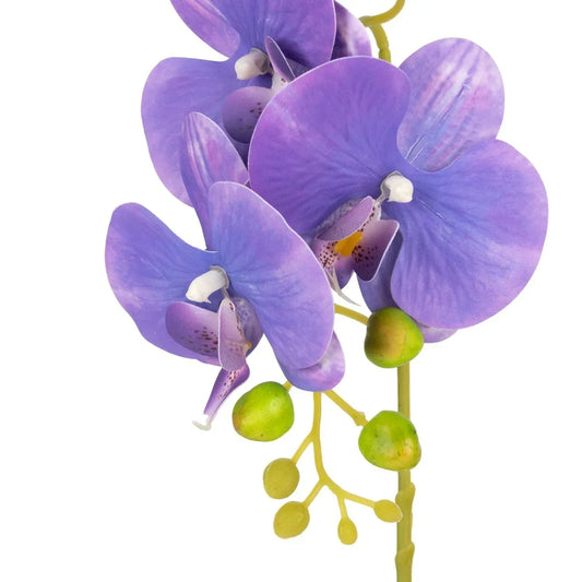 Orhidee cu aspect natural in ghiveci ceramic, 41 cm, Naimeed D6884, Mov - 221.ro