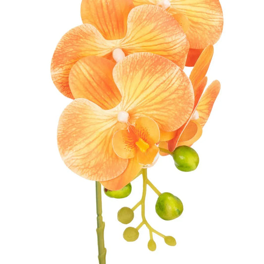 Orhidee cu aspect natural in ghiveci ceramic, 41 cm, Naimeed D6885, Portocaliu - 221.ro