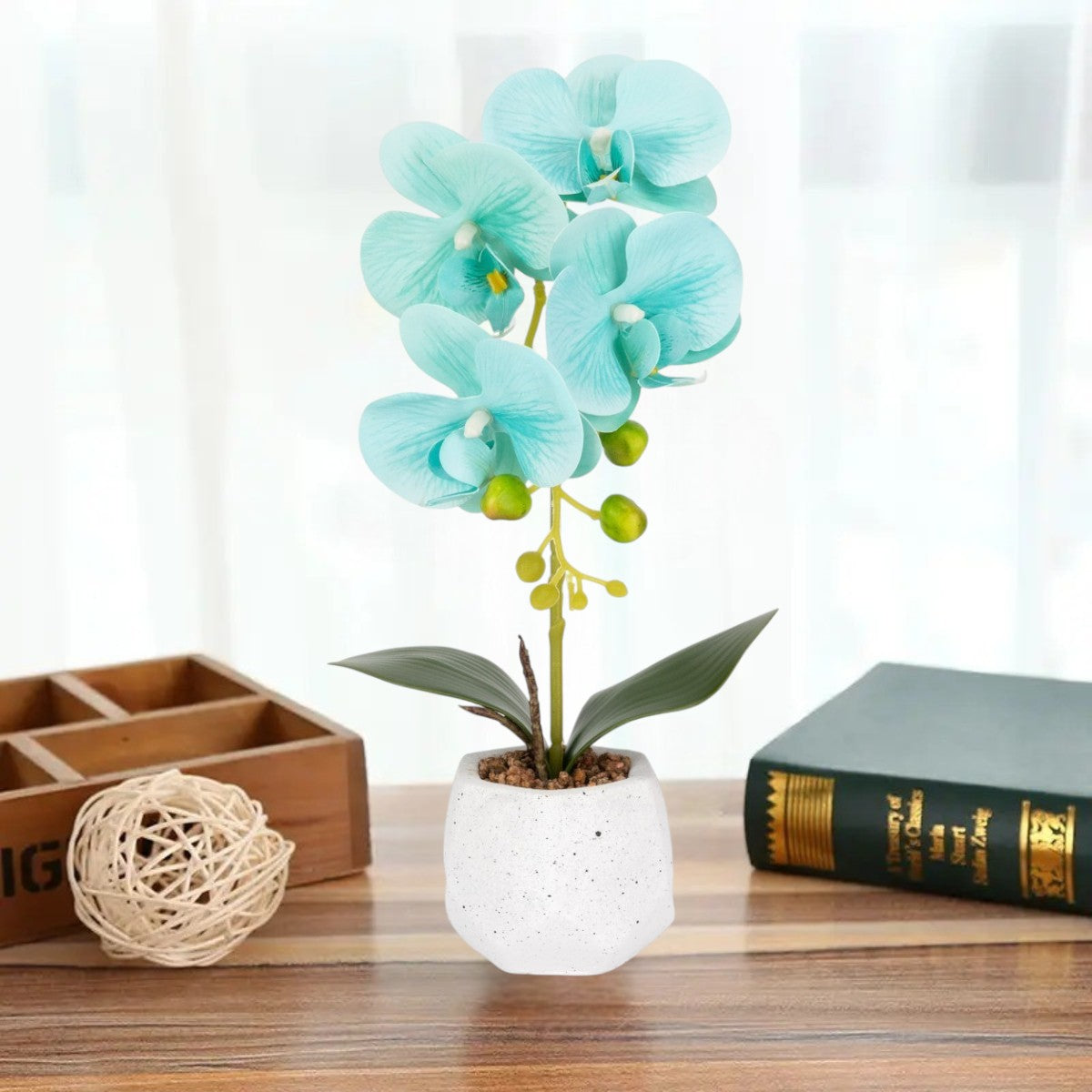 Orhidee cu aspect natural in ghiveci ceramic, 41 cm, Naimeed D6886, Turcoaz