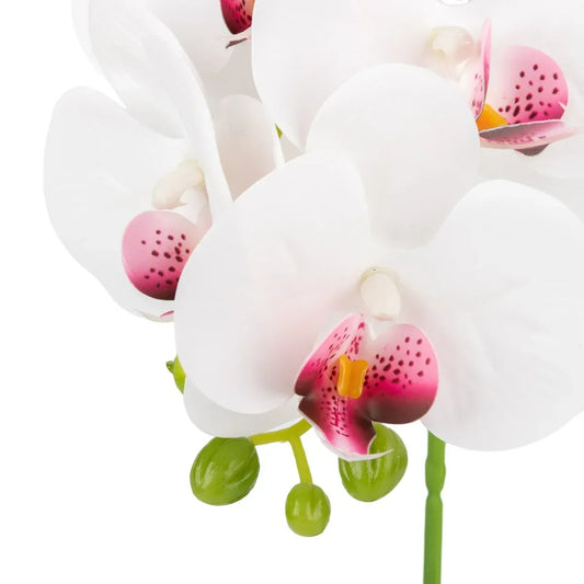 Orhidee cu aspect natural in ghiveci ceramic, 40 cm, Naimeed D6887, Alb - 221.ro