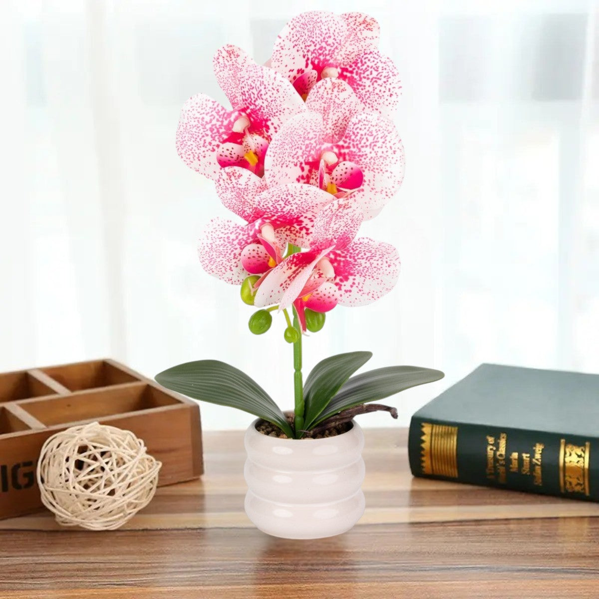 Orhidee cu aspect natural in ghiveci ceramic, 40 cm, Naimeed D6888, Alb-roz