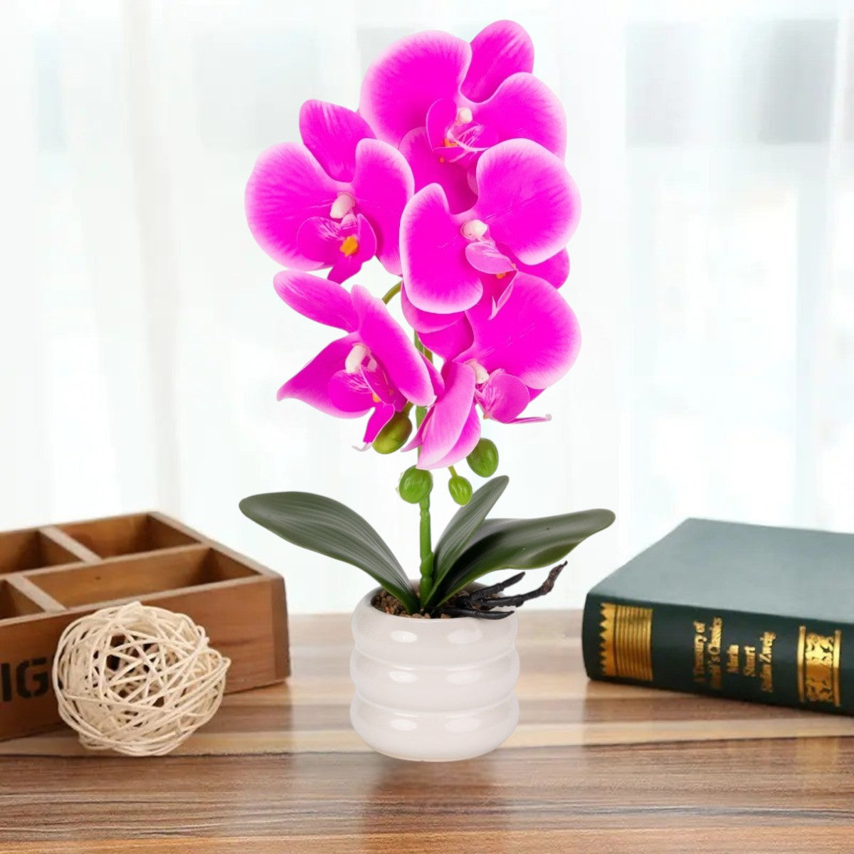 Orhidee cu aspect natural in ghiveci ceramic, 40 cm, Naimeed D6889, Fucsia