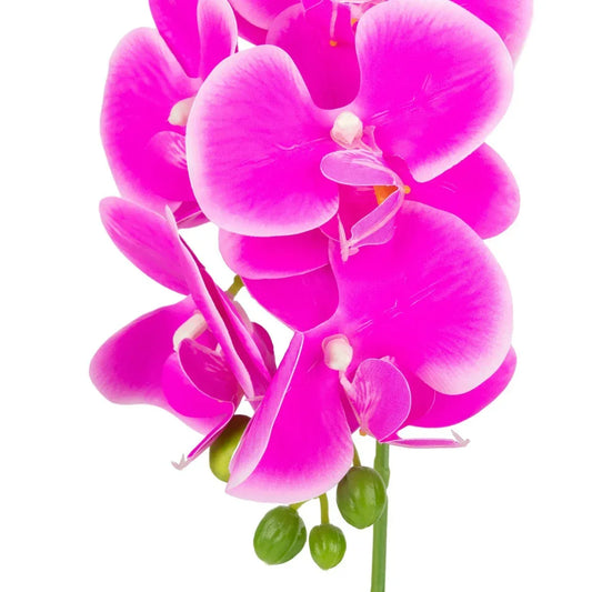 Orhidee cu aspect natural in ghiveci ceramic, 40 cm, Naimeed D6889, Fucsia - 221.ro