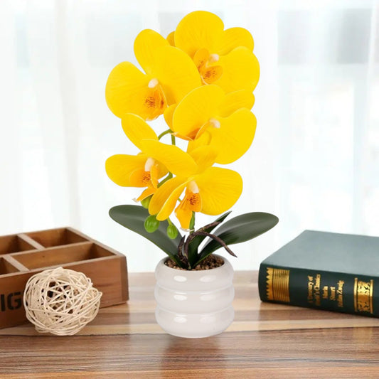 Orhidee cu aspect natural in ghiveci ceramic, 40 cm, Naimeed D6890, Galben