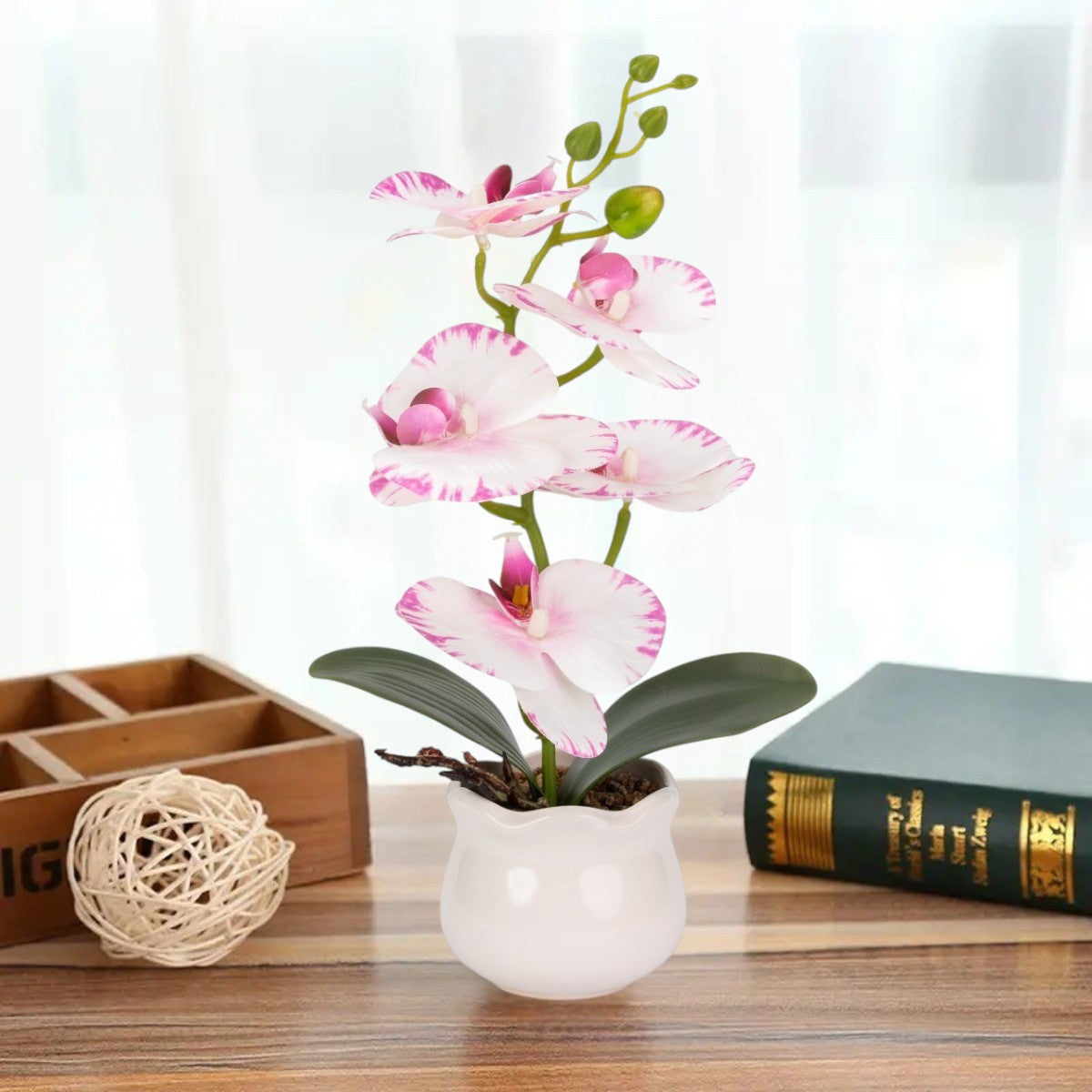 Orhidee cu aspect natural in ghiveci ceramic, 49 cm, Naimeed D6892, Alb-roz
