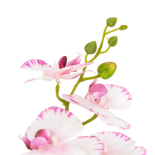 Orhidee cu aspect natural in ghiveci ceramic, 49 cm, Naimeed D6892, Alb-roz