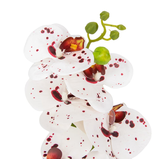 Orhidee cu aspect natural in ghiveci ceramic, 49 cm, Naimeed D6893, Alb-bordo