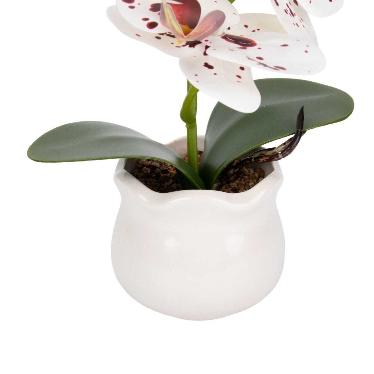 Orhidee cu aspect natural in ghiveci ceramic, 49 cm, Naimeed D6893, Alb-bordo