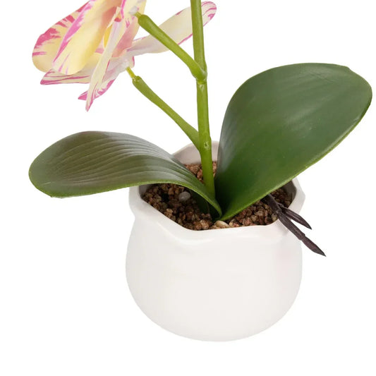 Orhidee cu aspect natural in ghiveci ceramic, 49 cm, Naimeed D6894, Galben pal - 221.ro