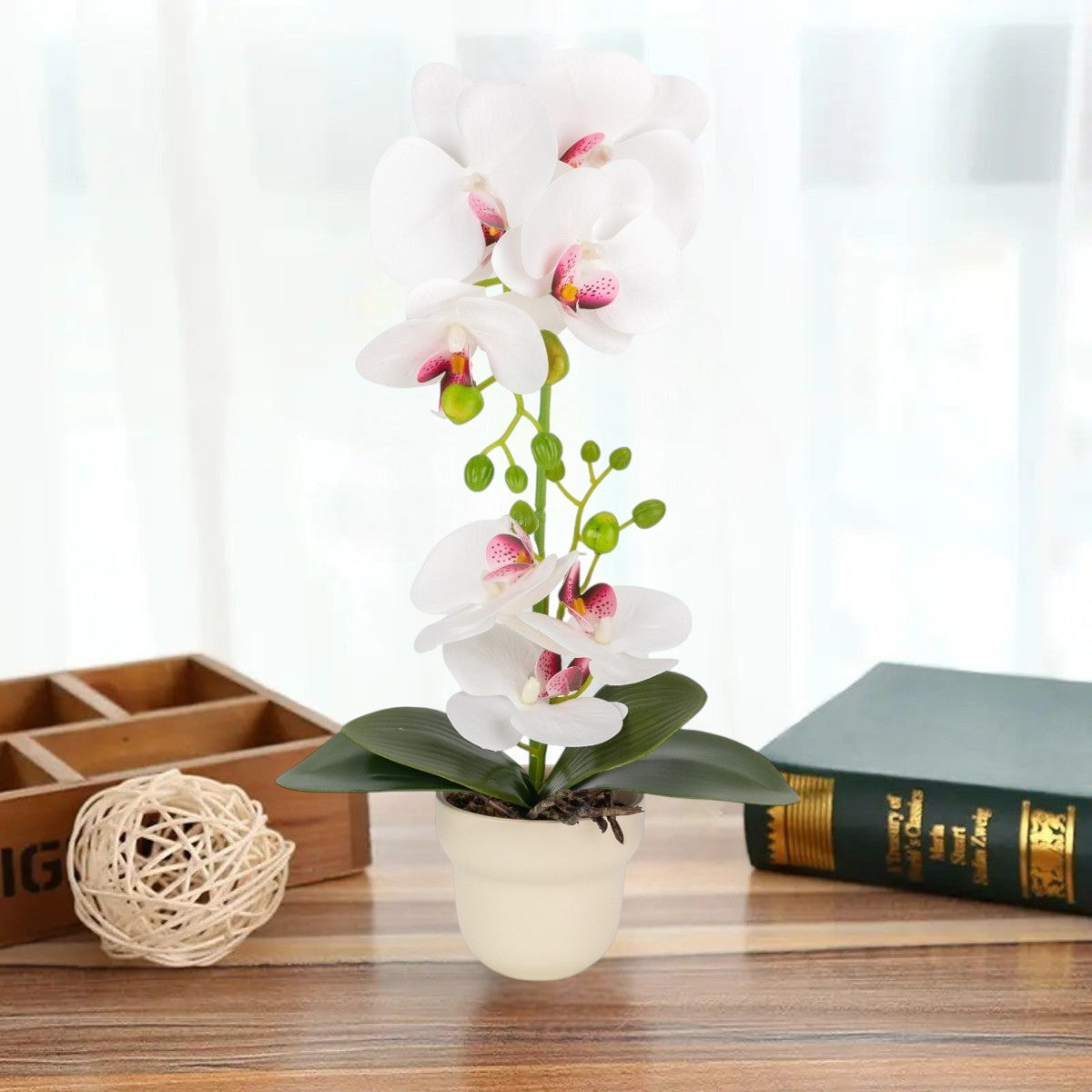 Orhidee cu aspect natural in ghiveci ceramic, 49 cm, Naimeed D6895, Alb