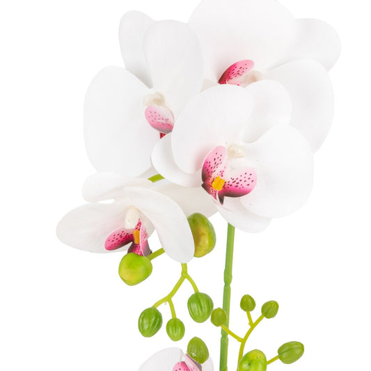 Orhidee cu aspect natural in ghiveci ceramic, 49 cm, Naimeed D6895, Alb