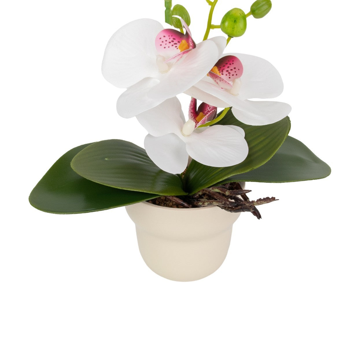 Orhidee cu aspect natural in ghiveci ceramic, 49 cm, Naimeed D6895, Alb