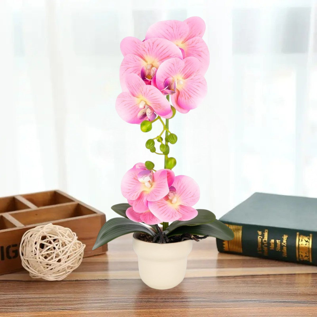 Orhidee cu aspect natural in ghiveci ceramic, 49 cm, Naimeed D6896, Roz