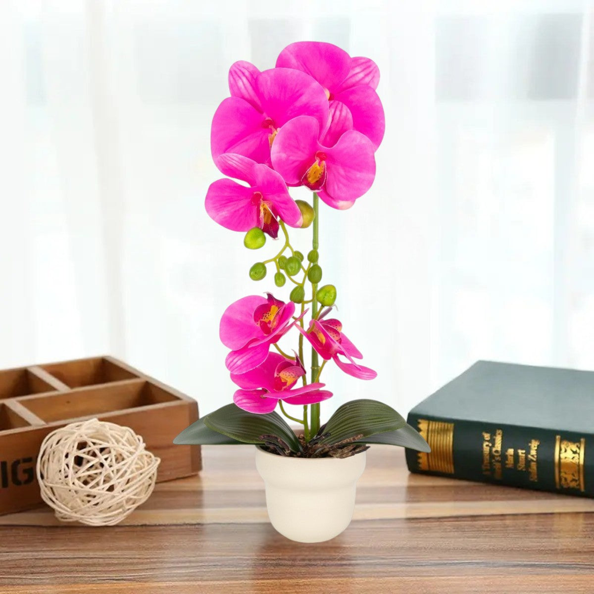 Orhidee cu aspect natural in ghiveci ceramic, 49 cm, Naimeed D6897, Fucsia