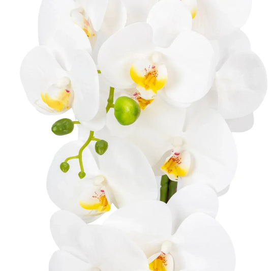 Orhidee cu aspect natural in ghiveci ceramic, 79 cm, Naimeed D6900, Alb - 221.ro