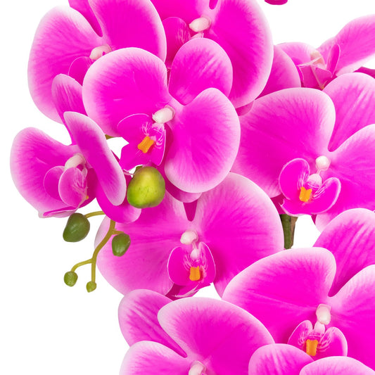 Orhidee cu aspect natural in ghiveci ceramic, 79 cm, Naimeed D6902, Fucsia