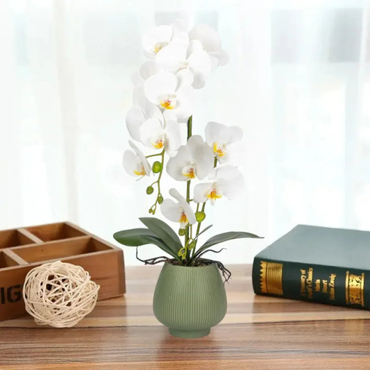 Orhidee cu aspect natural in ghiveci ceramic, 80 cm, Naimeed D6903, Alb/Verde - 221.ro