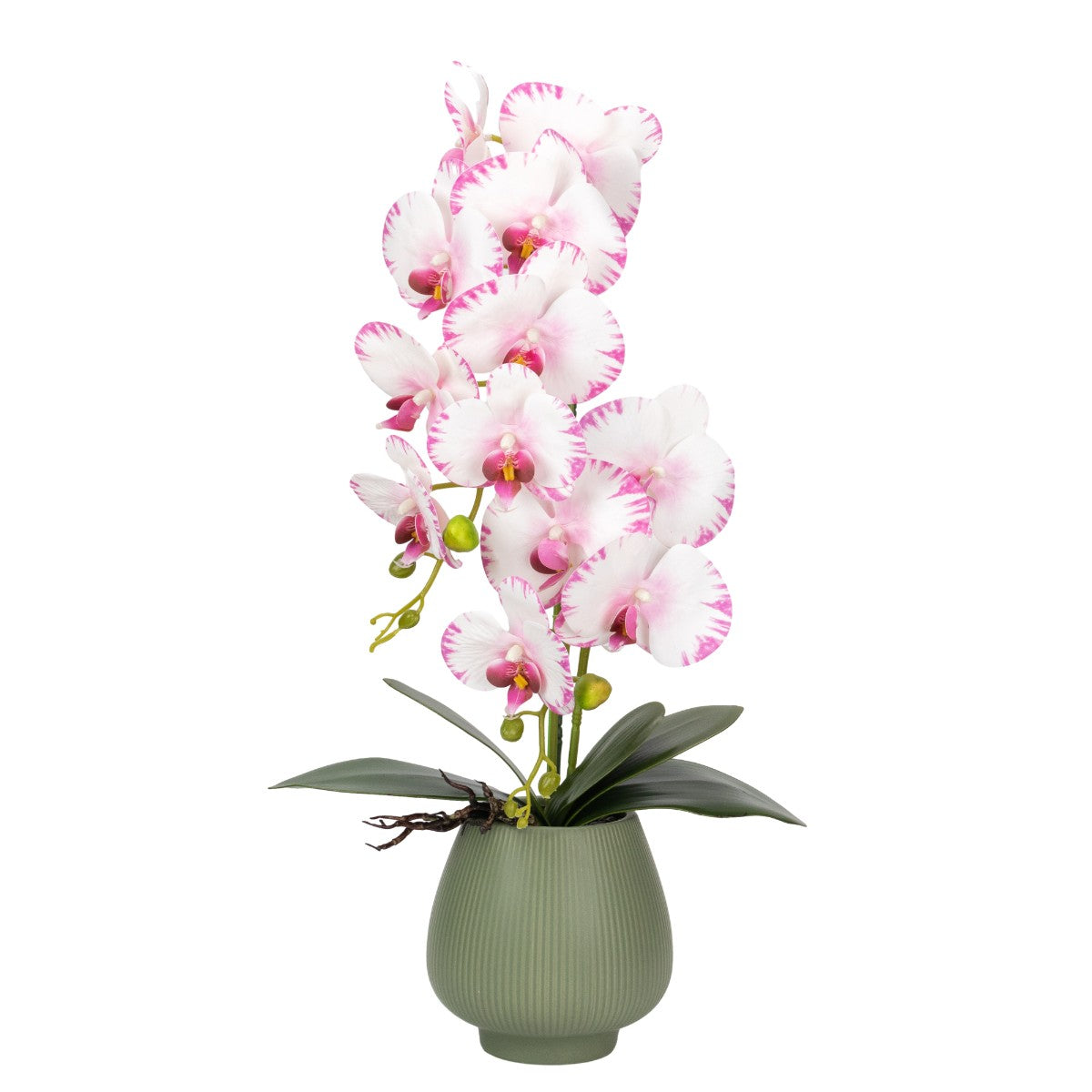Orhidee cu aspect natural in ghiveci ceramic, 80 cm, Naimeed D6904, Roz/Verde