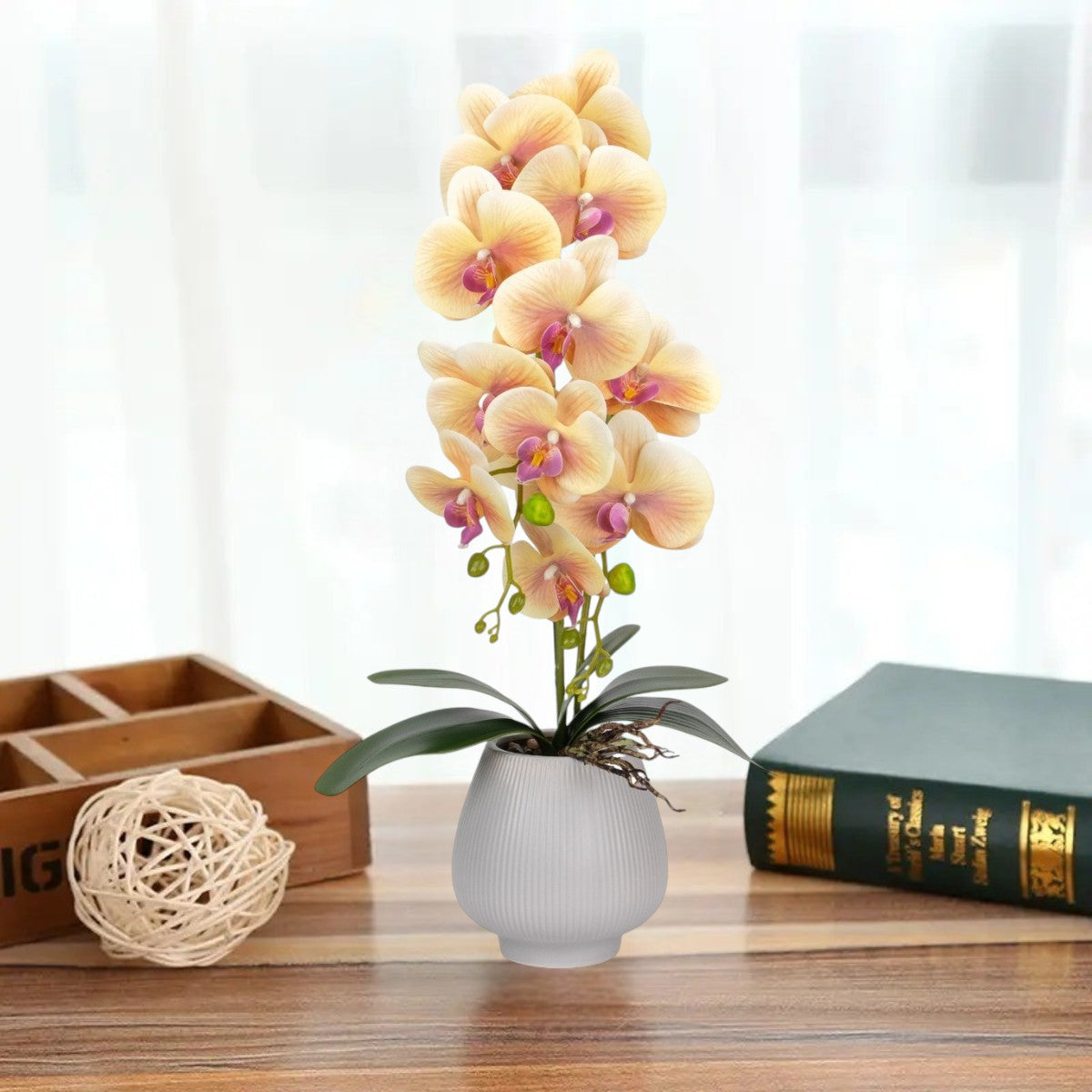 Orhidee cu aspect natural in ghiveci ceramic, 80 cm, Naimeed D6905, Portocaliu pal/Alb