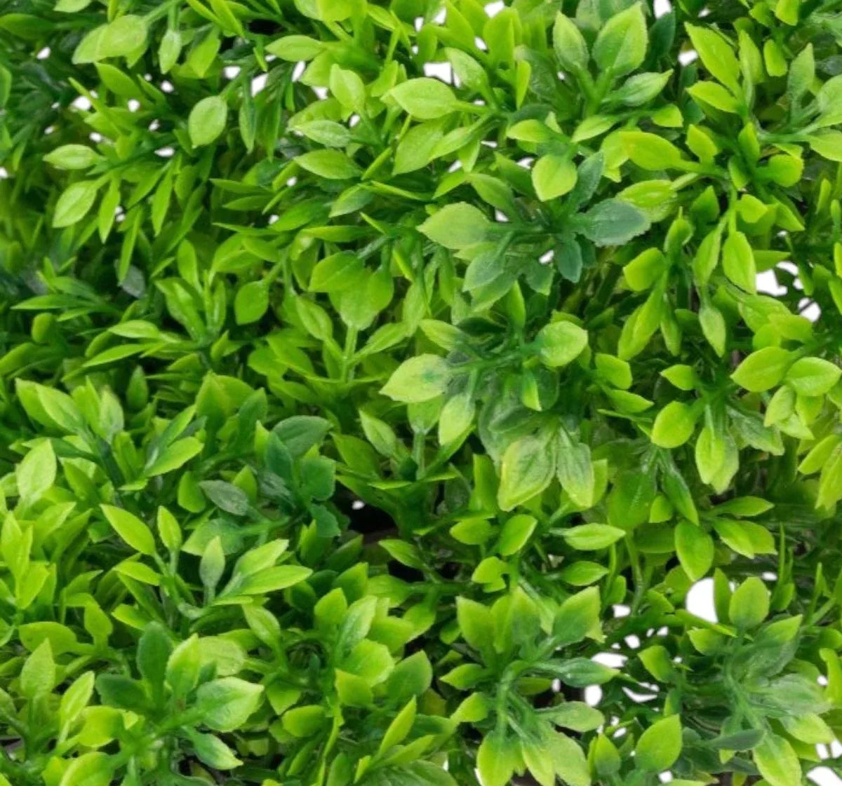 Copac artificial, tip Buxus, cu ghiveci, Naimeed D6910, 40x12 cm, Verde - 221.ro