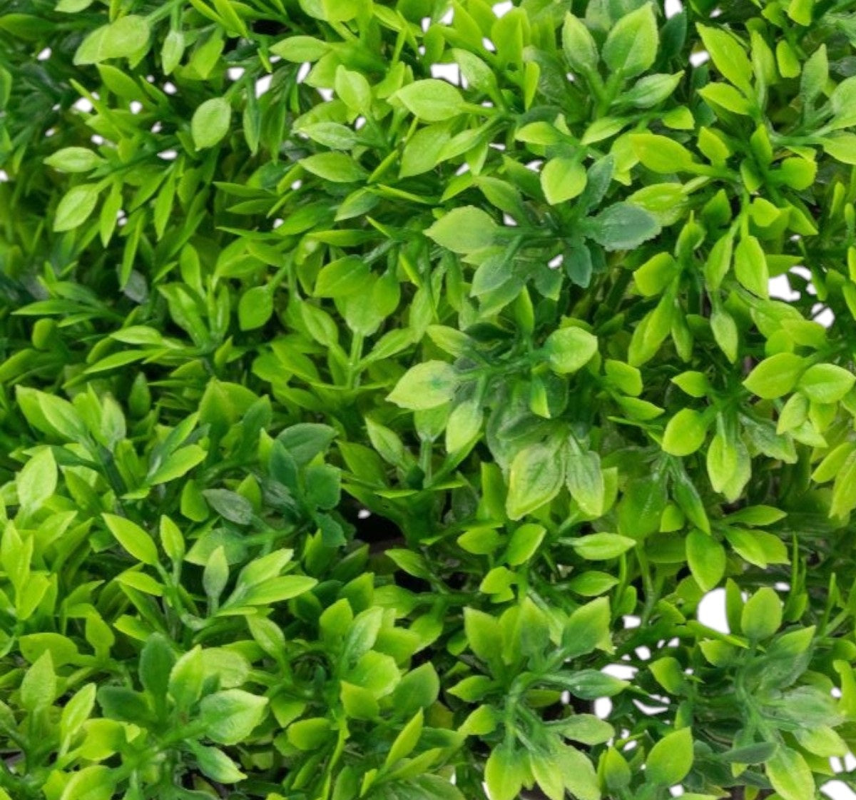 Copac artificial, tip Buxus, cu ghiveci, Naimeed D6910, 40x12 cm, Verde