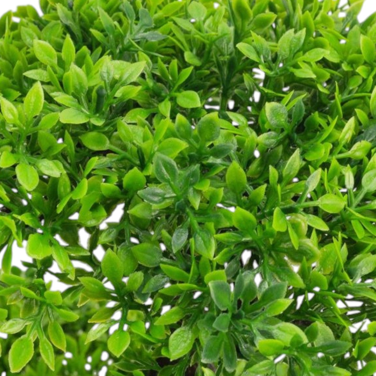 Copac artificial, tip Buxus, cu ghiveci, Naimeed D6915, 50x12 cm, Verde