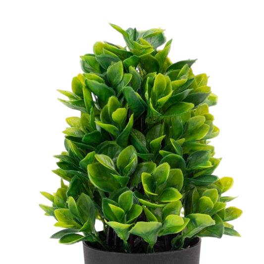 Planta artificiala, tip Buxus, cu ghiveci, Naimeed D6923, 24x8.8 cm, Verde