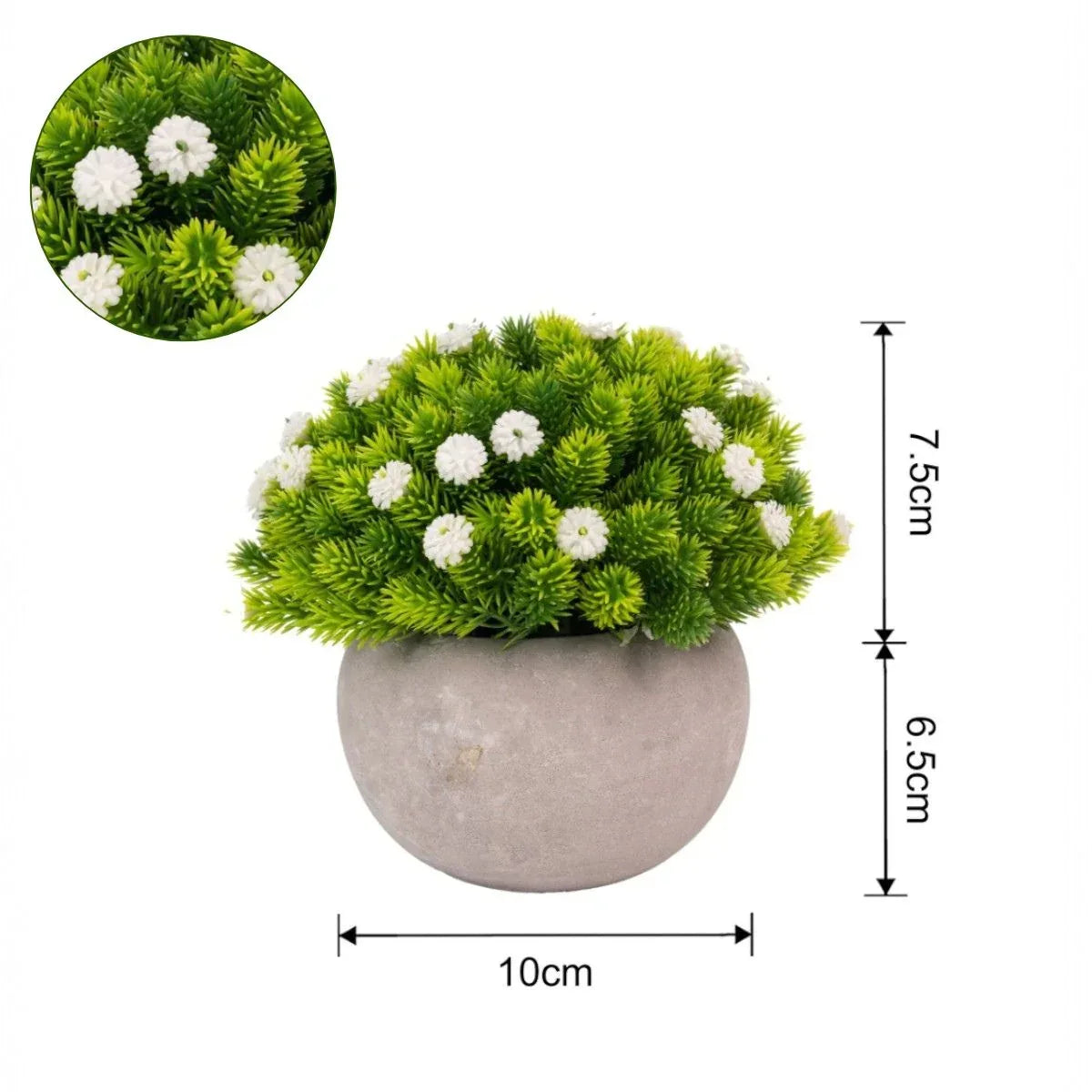 Planta artificiala, tip Cryptomeria, cu ghiveci de hartie, Naimeed D6926, 12x10 cm, Alb - 221.ro