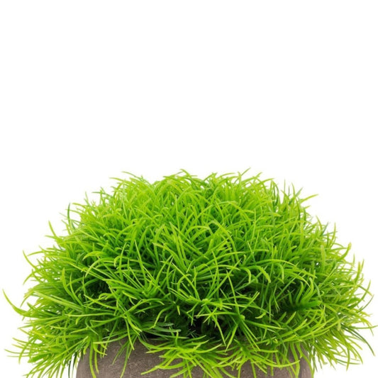 Planta artificiala, tip Festuca, cu ghiveci de hartie, Naimeed D6931, 12x10 cm, Verde