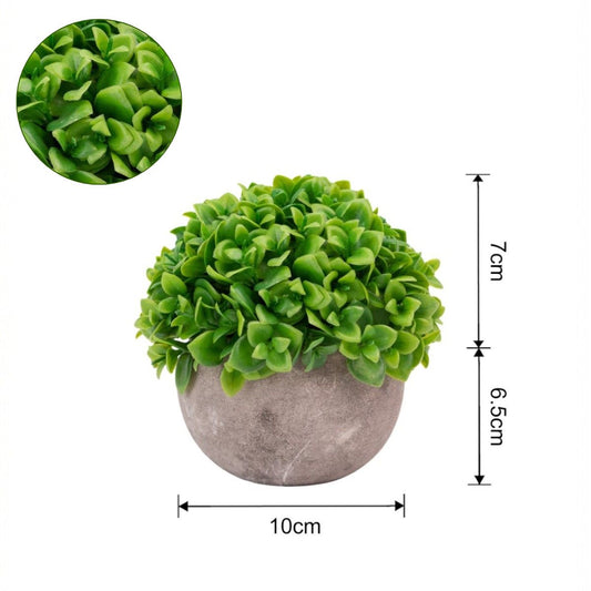 Planta artificiala, tip Crassula, cu ghiveci de hartie, Naimeed D6933, 12x10 cm, Verde